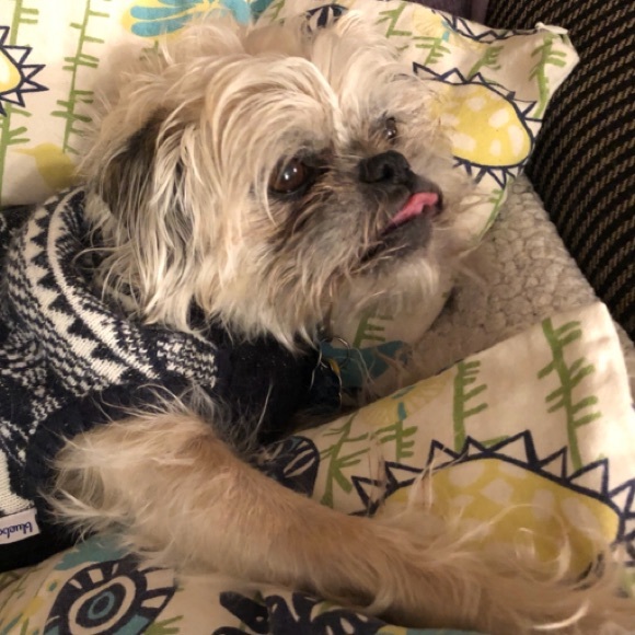 Meet your Posher, Becky - Picture 4 of 5